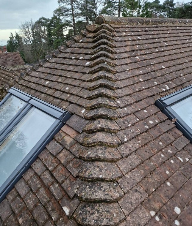 Tiled roof hip and ridge detail meeting two roof windows on a new roof